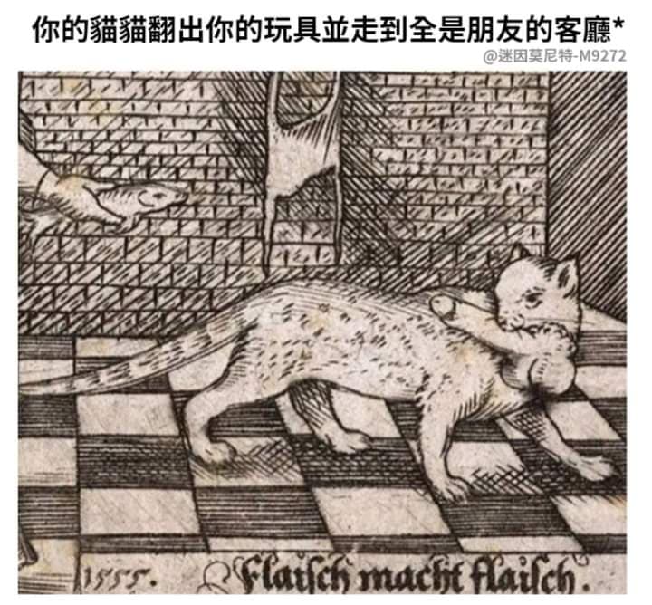 社死現場 - 梗圖板 | Dcard