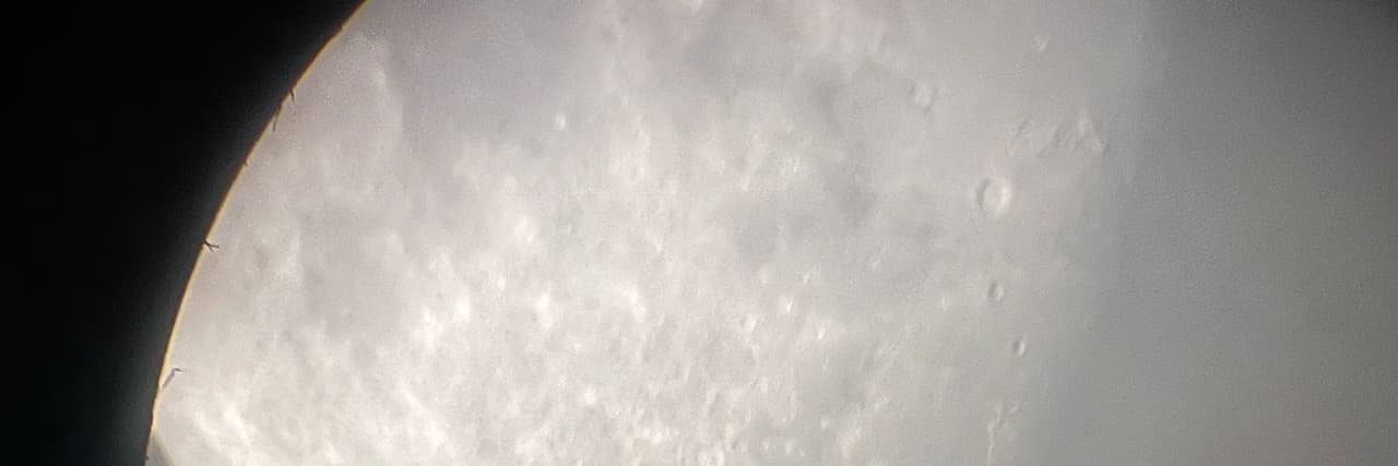 一千隻錦鯉
