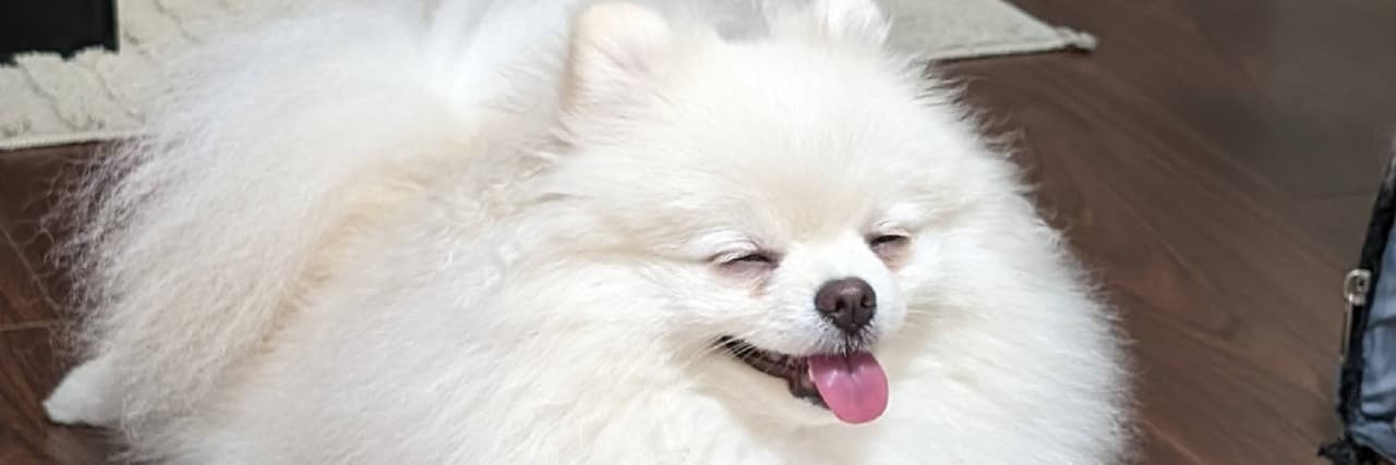有種非自願志工叫實習老師