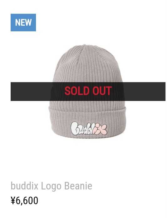 buddix Logo Beanie-