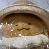 伊布跟布丁狗很可愛