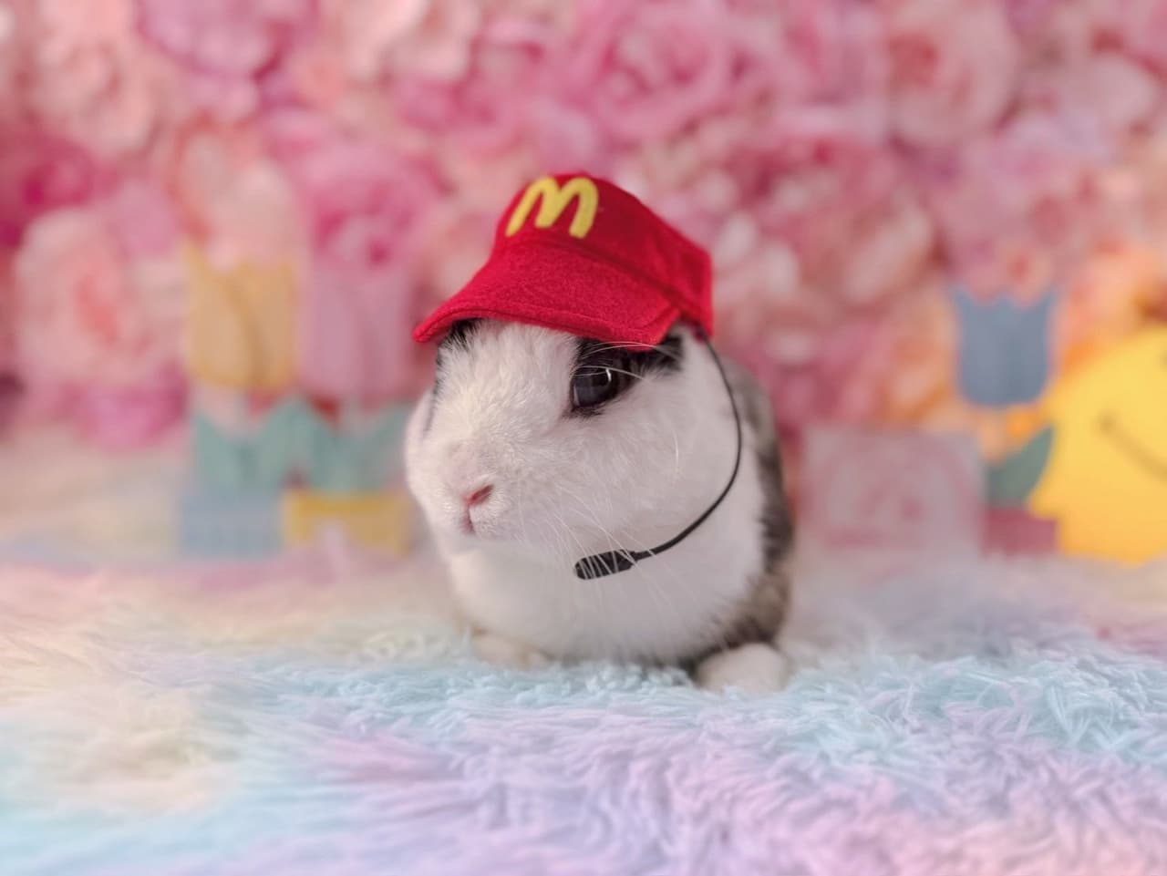 megapx
