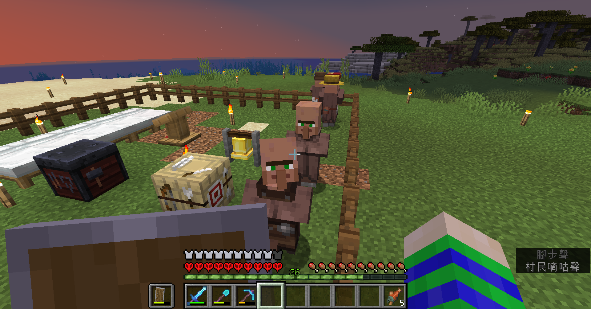 發問村民不認床(JAVA 1.21) - Minecraft板| Dcard