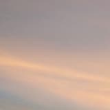 www678