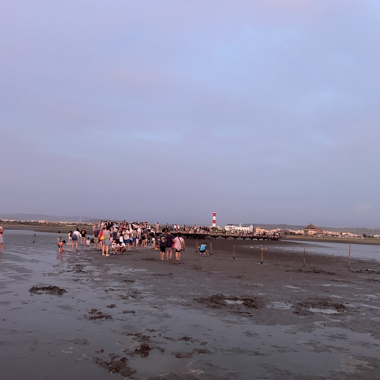 國內遊記 高美濕地半日遊～