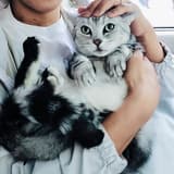 Myca