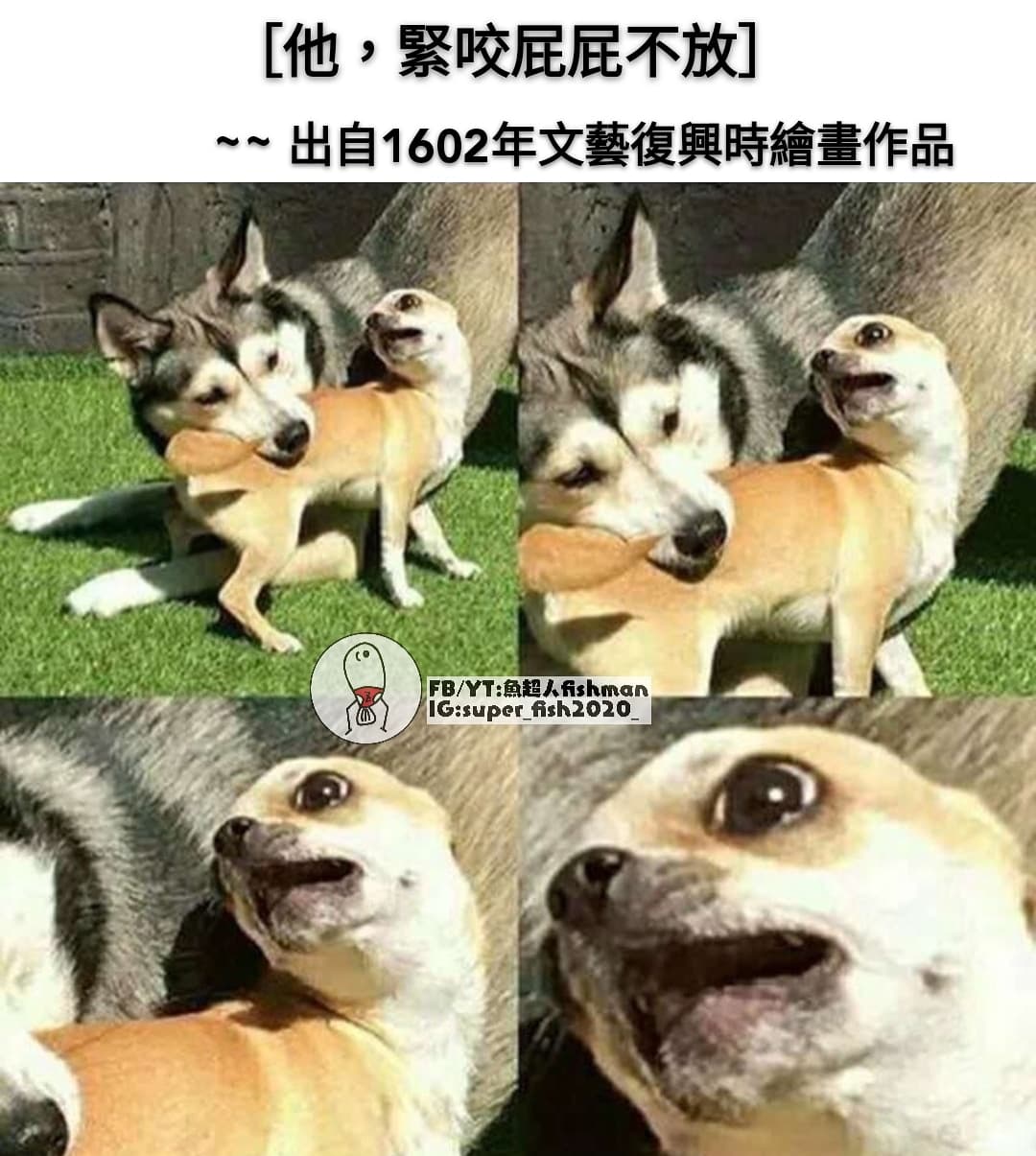 怕吉了 - 梗圖板 | Dcard