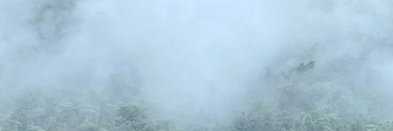 顏yen