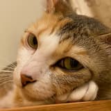 keruya
