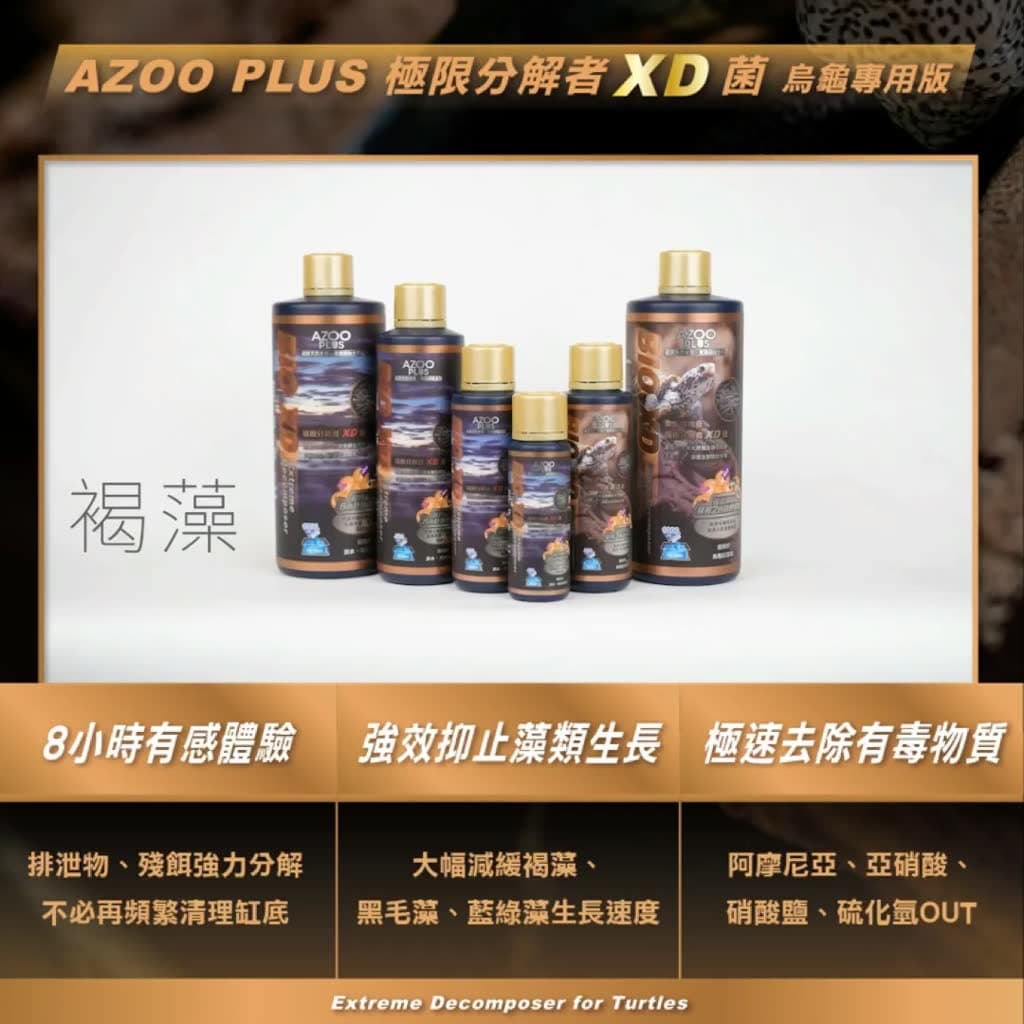 2026烏龜硝化菌推薦】4款Dcard/PTT熱議：不想天天換水必看！法國普洛迪、XD菌實測避雷指南- 阿姆阿姆(@amumulife) | Dcard