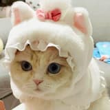 尼尼不要