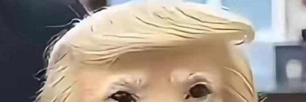 淆智大師
