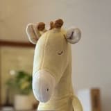 一隻長頸鹿🦒