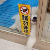 heehee
