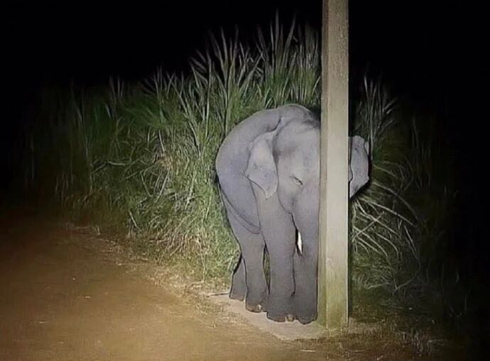 異性一個千篇一律的徵友文- 擇偶條件板| Dcard