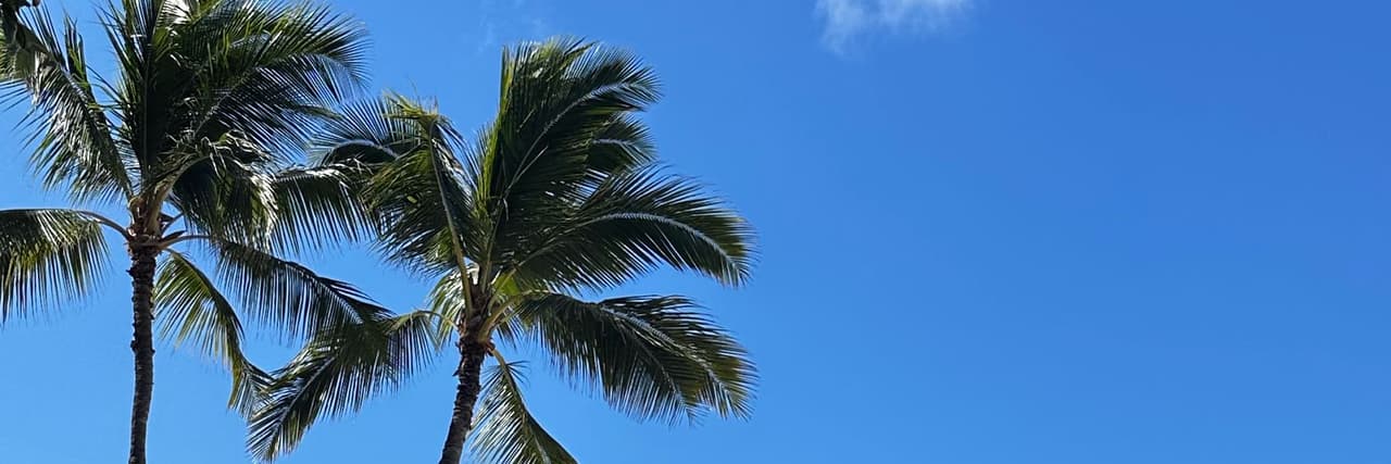 地方學長