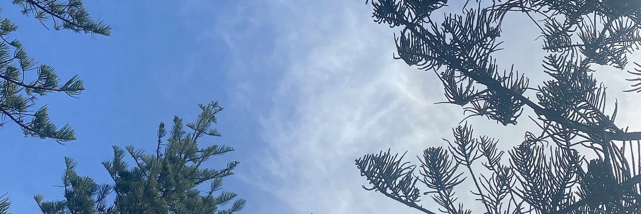 泰咪TammyLee타미