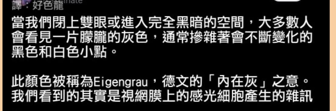迷因文研 社長 蛋黃