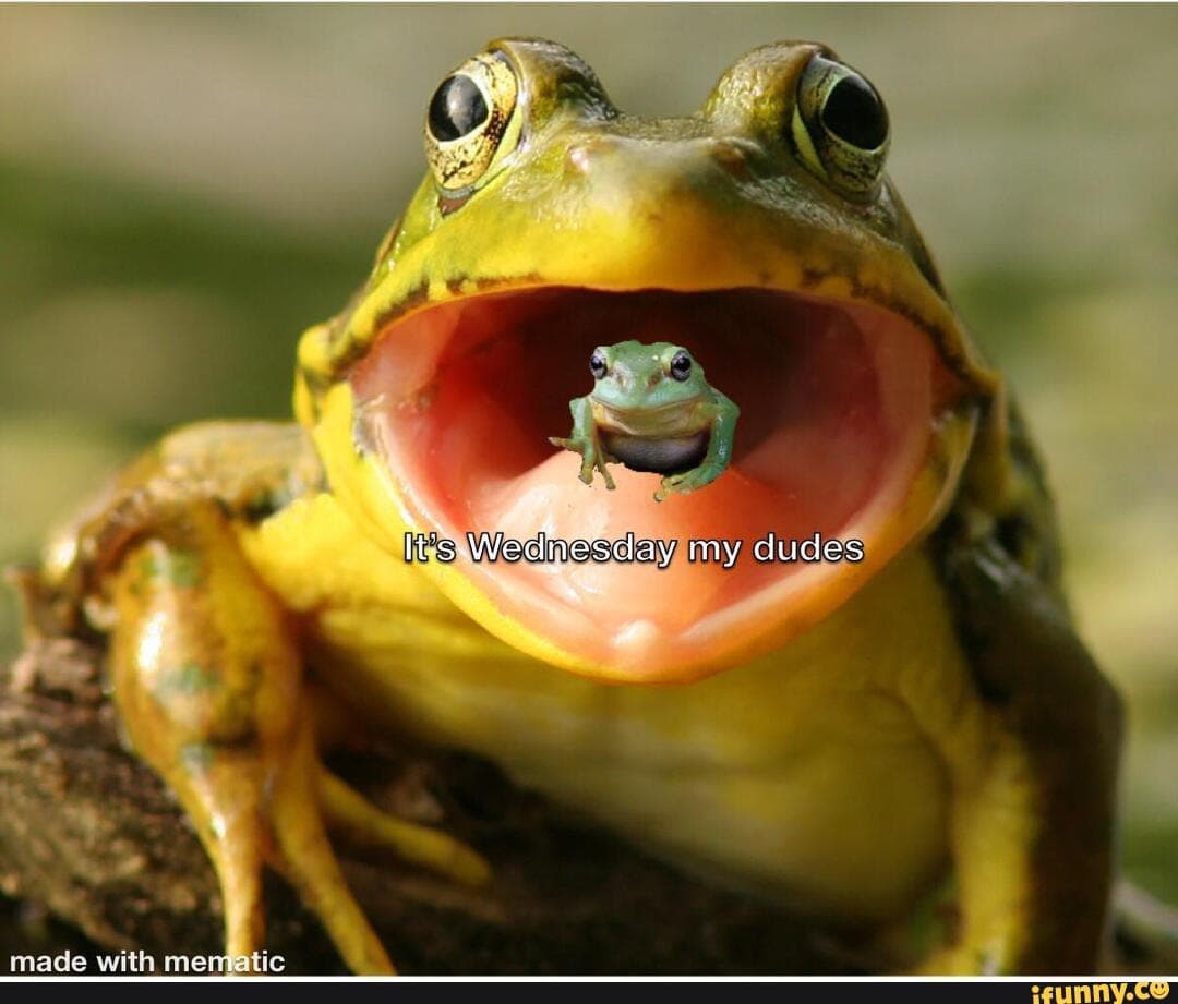 🐸 - 梗圖板| Dcard