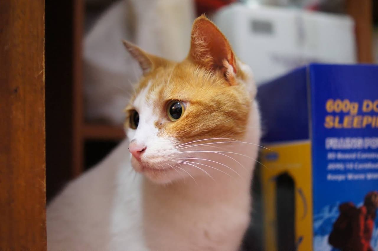 megapx