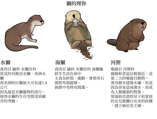 海獺水獺你們會分嗎~ᶘ ᵒᴥᵒᶅ? - 149BonnyLin (@bonny860816) | Dcard