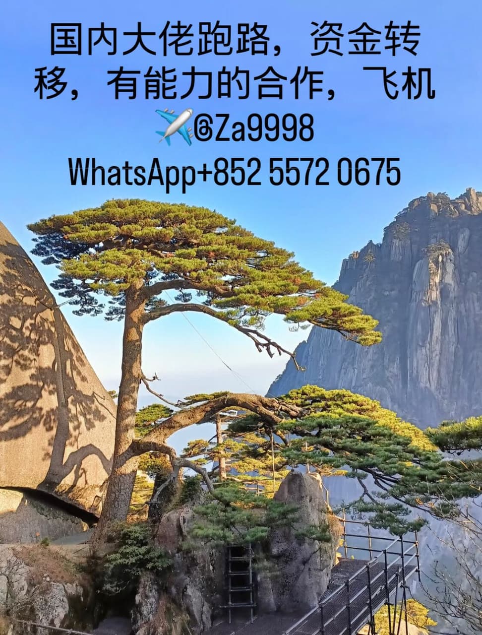 金融板熱門討論 | Dcard