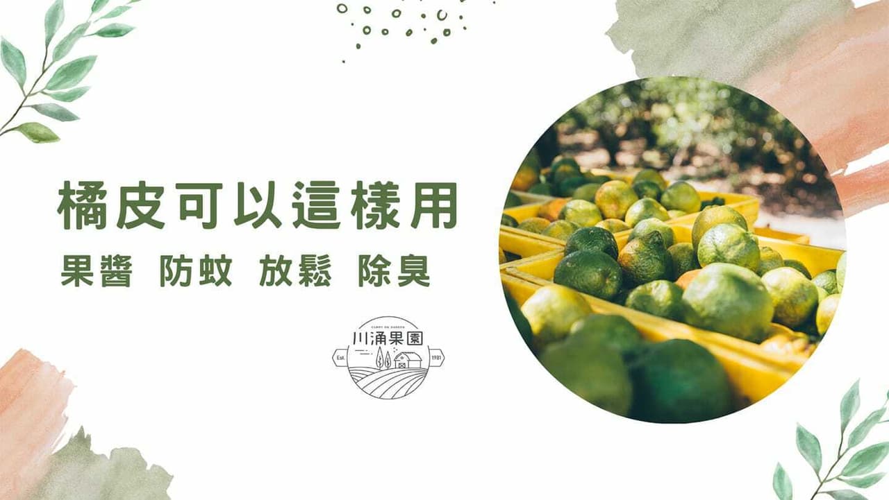 橘子皮原來可以這樣利用!7個橘子皮利用方式 - 無痕生活板 | Dcard