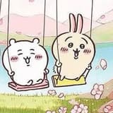 🐻