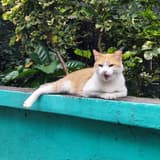 looking_at_me