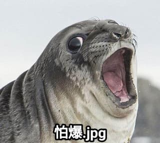 megapx