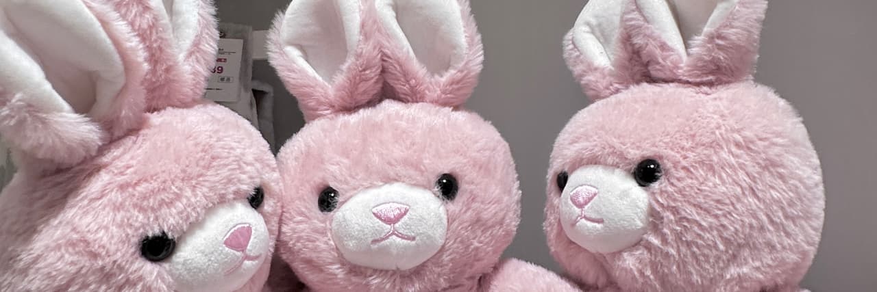 兔子🐰
