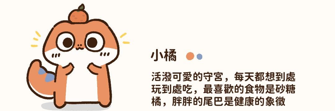 萊特