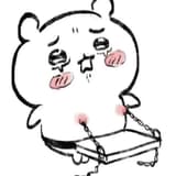 wang556880