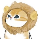 毛毛毛帽貓貓