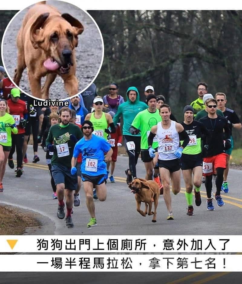 WBC 集訓拉!~43人名單好期待- 閒聊板| Dcard