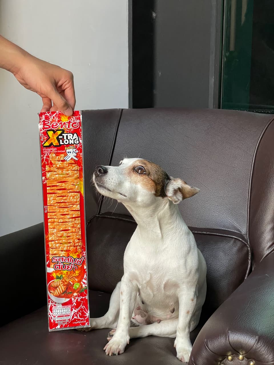 megapx