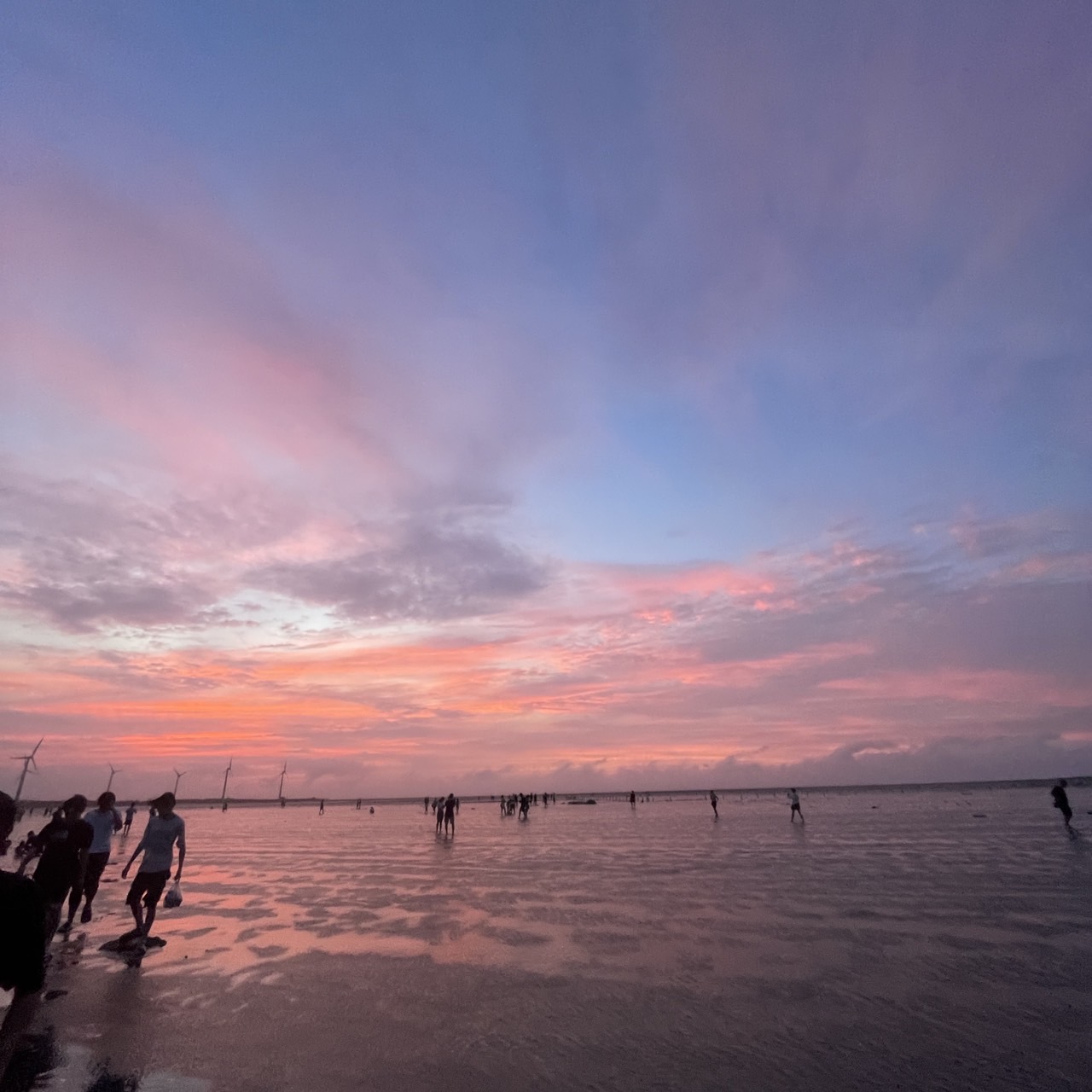 國內遊記 高美濕地半日遊～