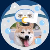 vicky_52077