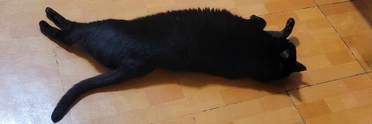 窩不知道