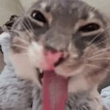 換換症病患者
