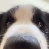 Juuuuuu