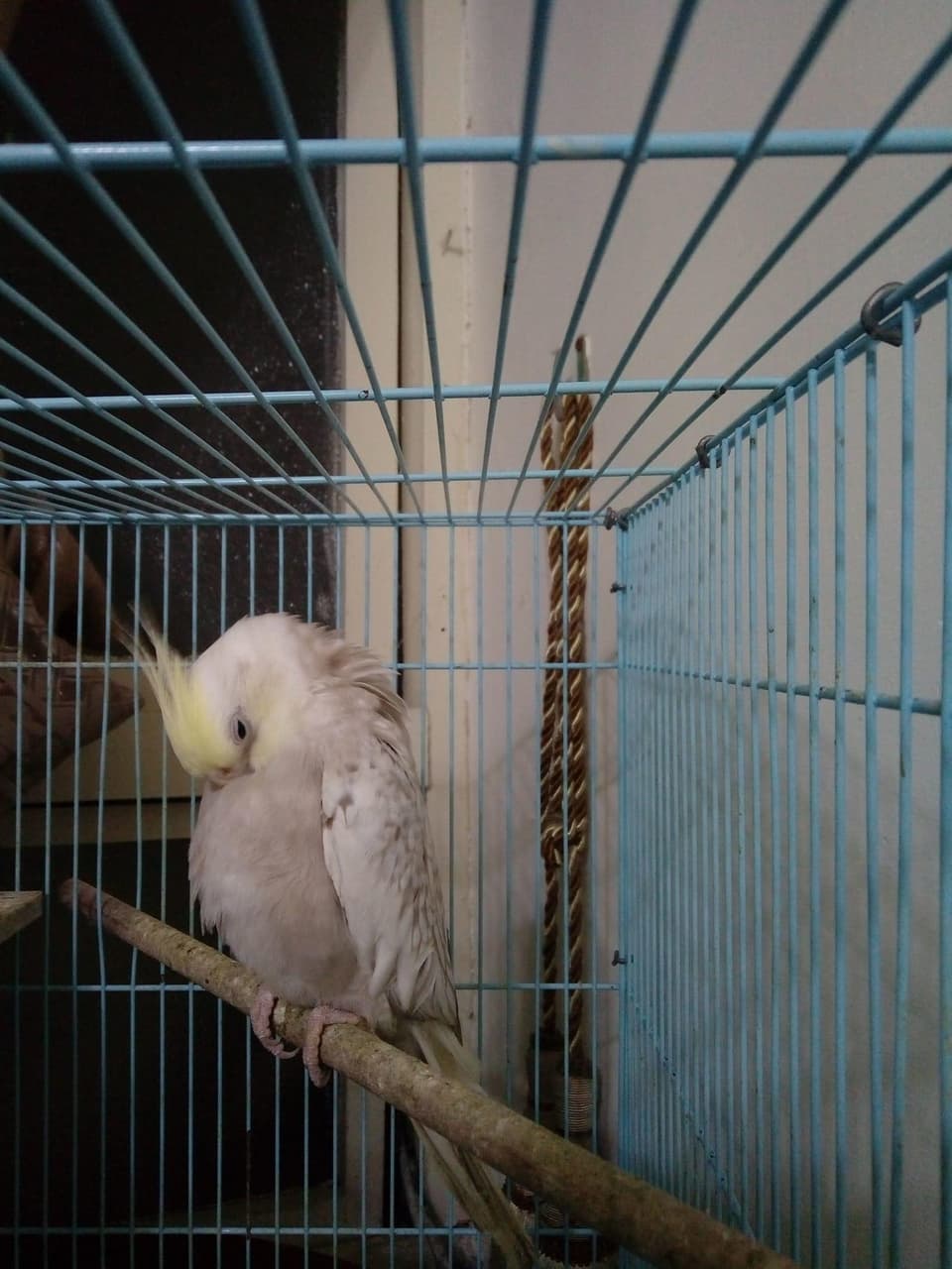 megapx