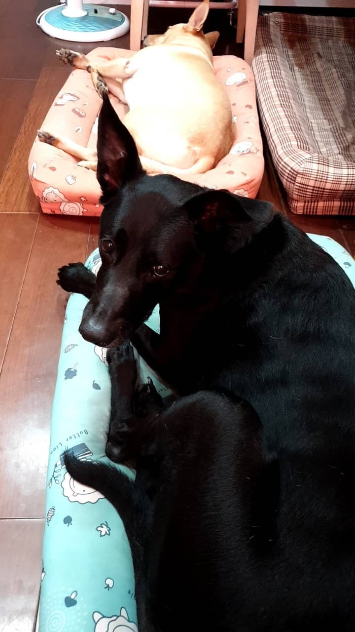 megapx