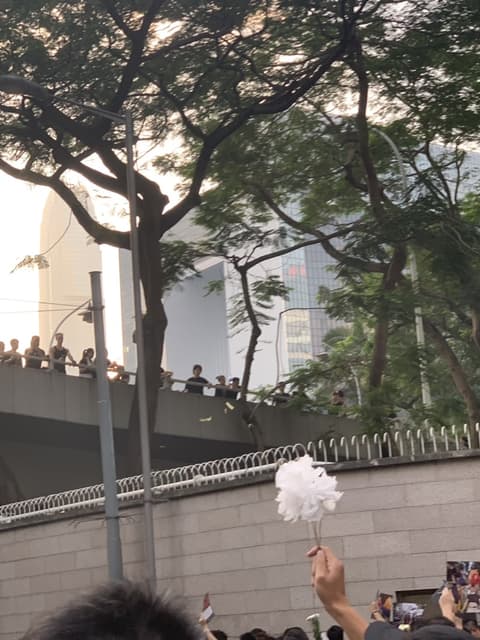香港616反送中遊行 - 時事板 | Dcard