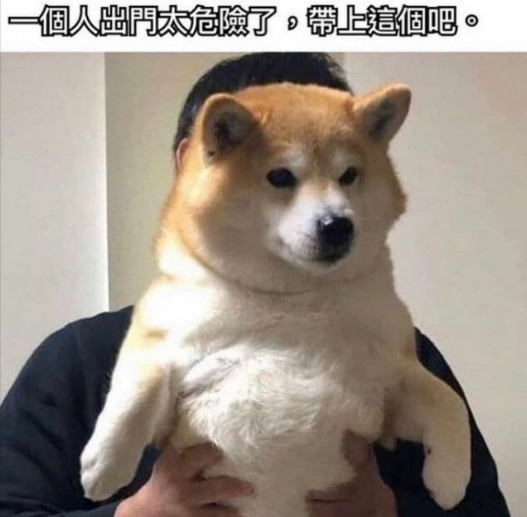 可愛的柴柴❤️ - 梗圖板| Dcard