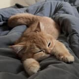 (｡･ω･｡)ﾉ