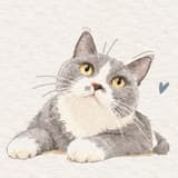 射手喵喵♡