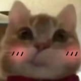 山谷有木