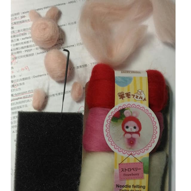羊毛氈大創兔子材料包- 手作板