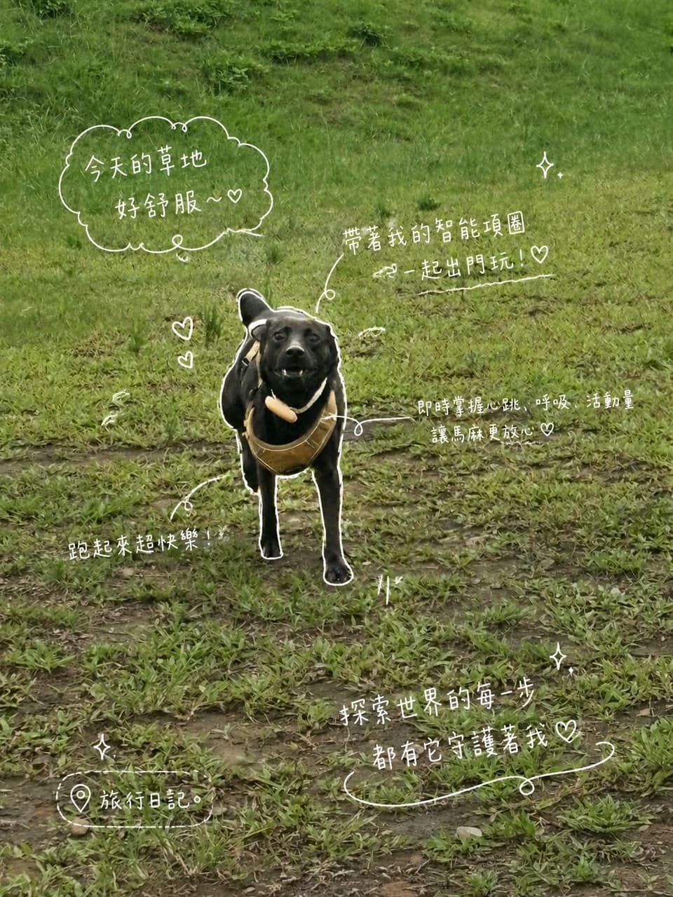 megapx